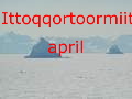 Ittoqqortoormiit - Scoresbysund - i april