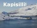 Kapisillit