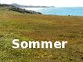 Sommer i Nuuk, august 2006