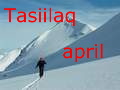 Tasiilaq i april
