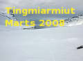Tingmianguit, Marts 2008