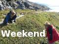 Weekend i fjorden