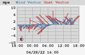 Wind Gust Vector