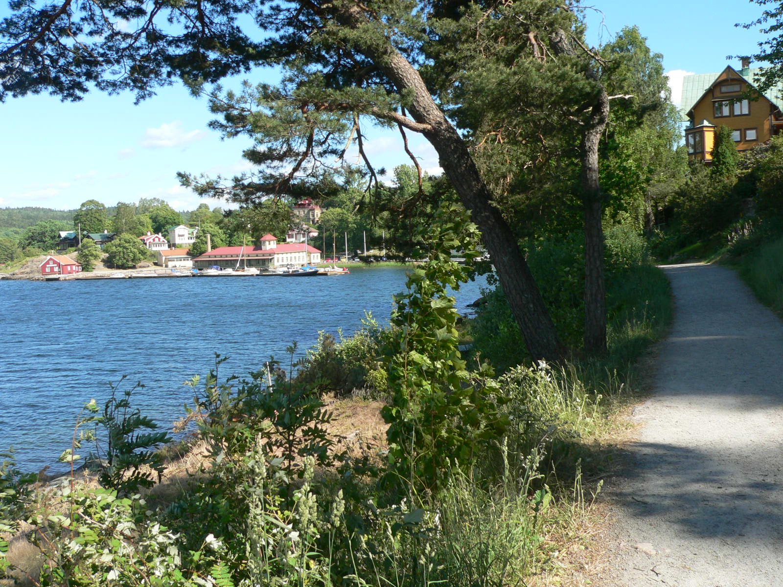 2008-06-11--16.29.25.jpg