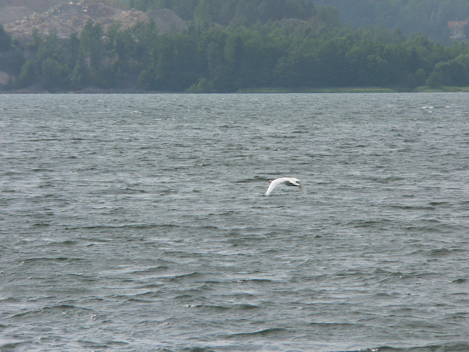 2008-06-11--17.14.19.jpg
