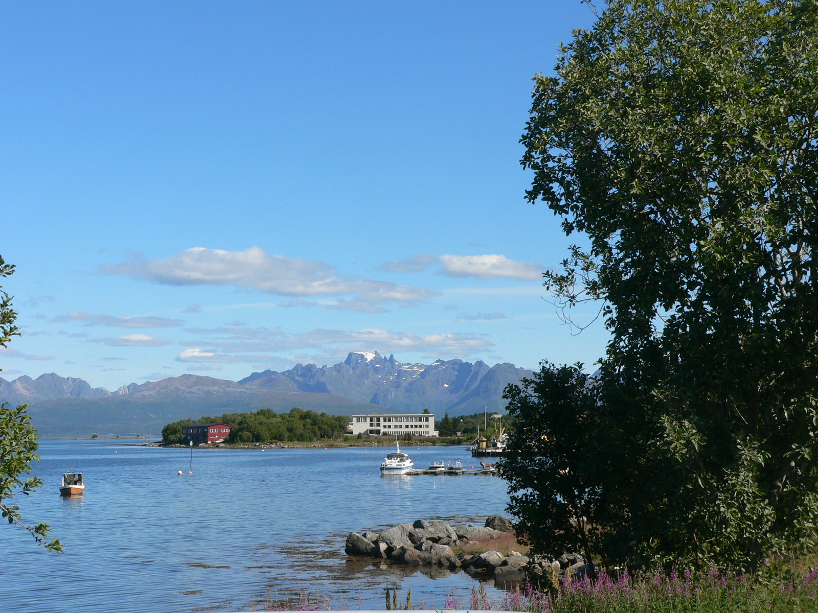 2008-08-04--15.10.24.jpg