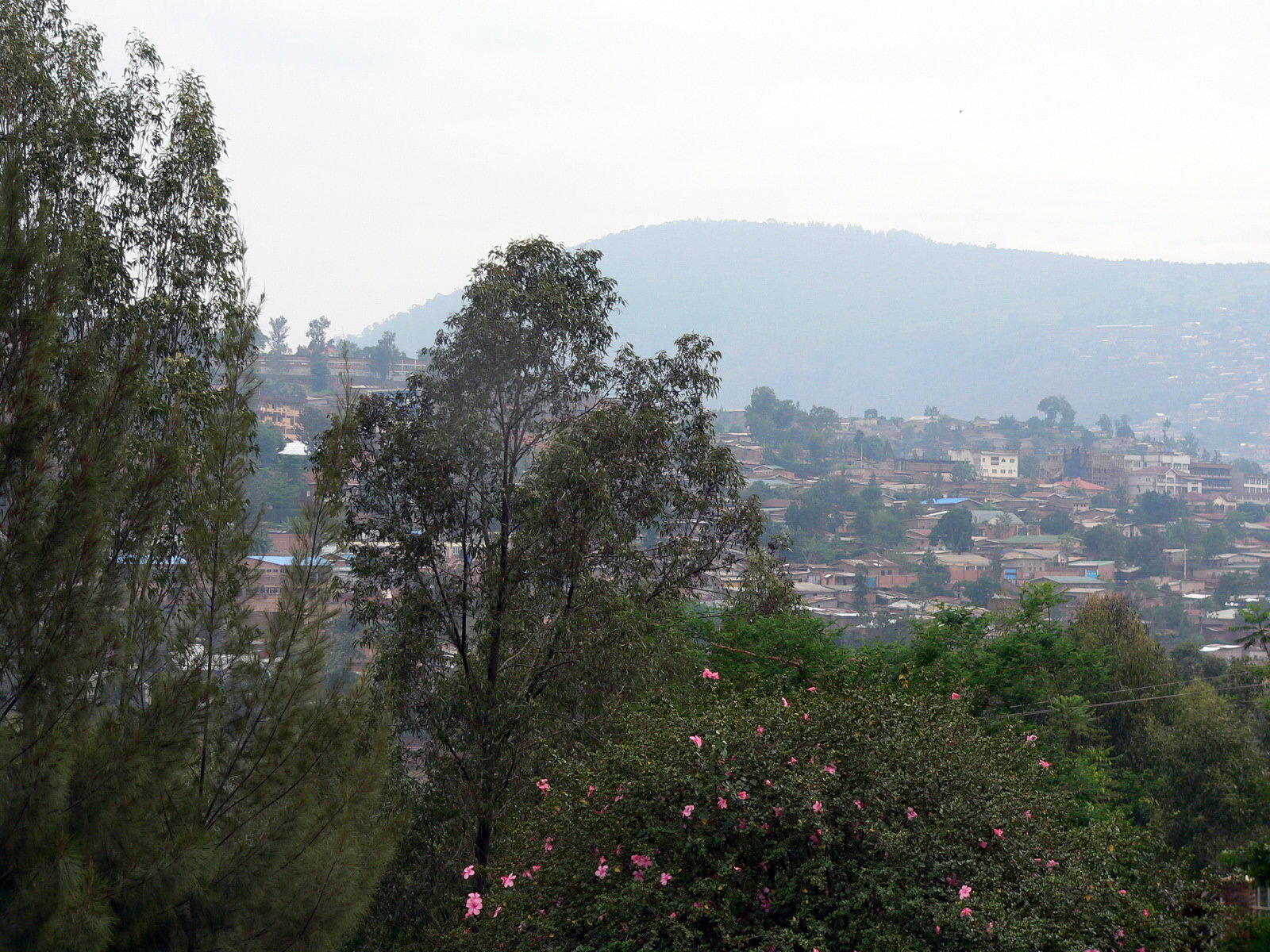 2008-10-23--14.59.33.jpg
