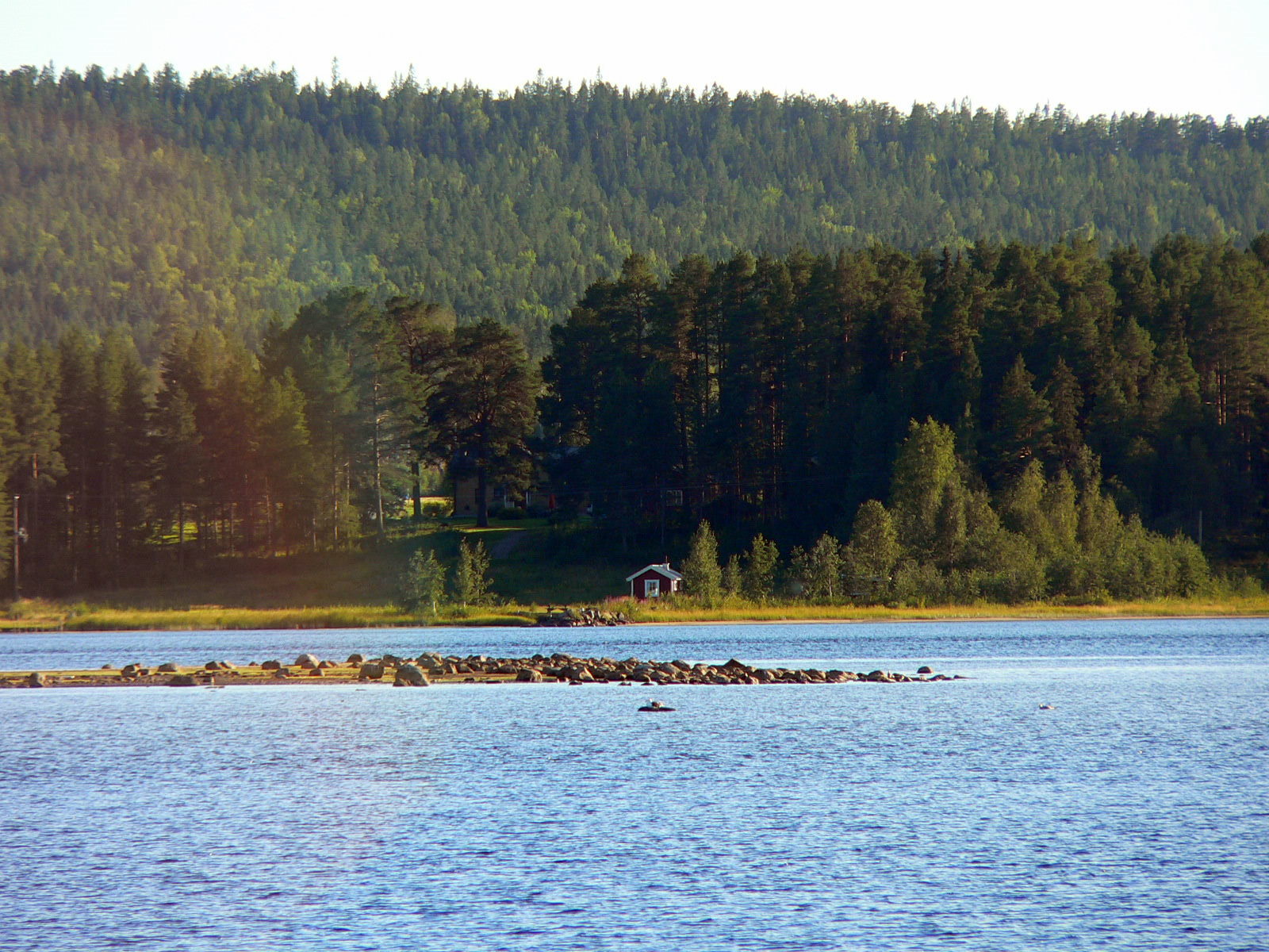 2010-08-17--18.19.13.jpg