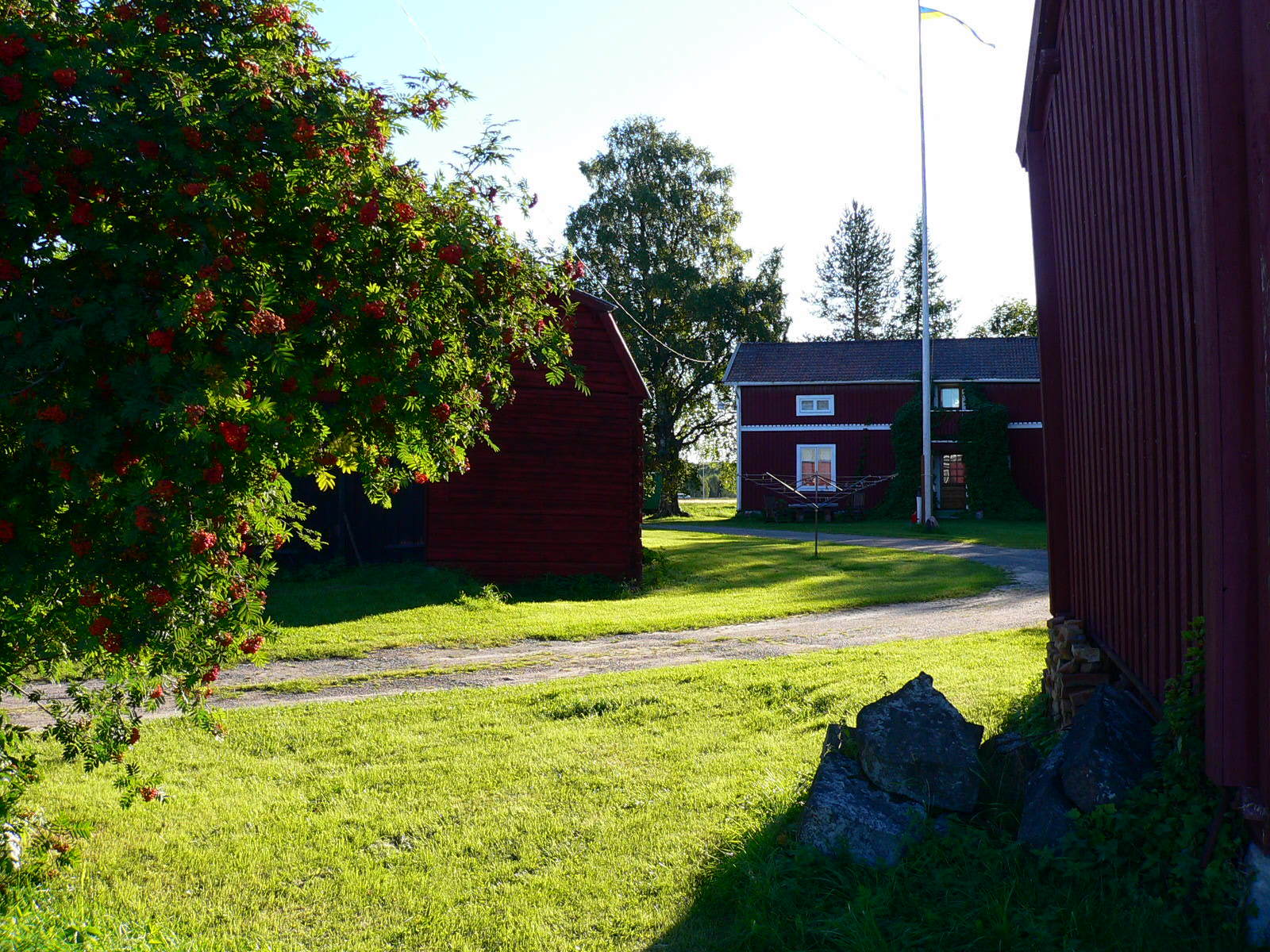 2010-08-18--07.43.54.jpg