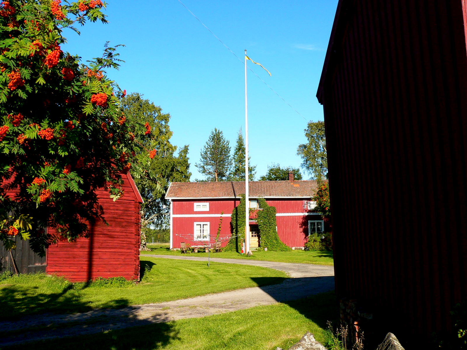 2010-08-18--17.08.49.jpg