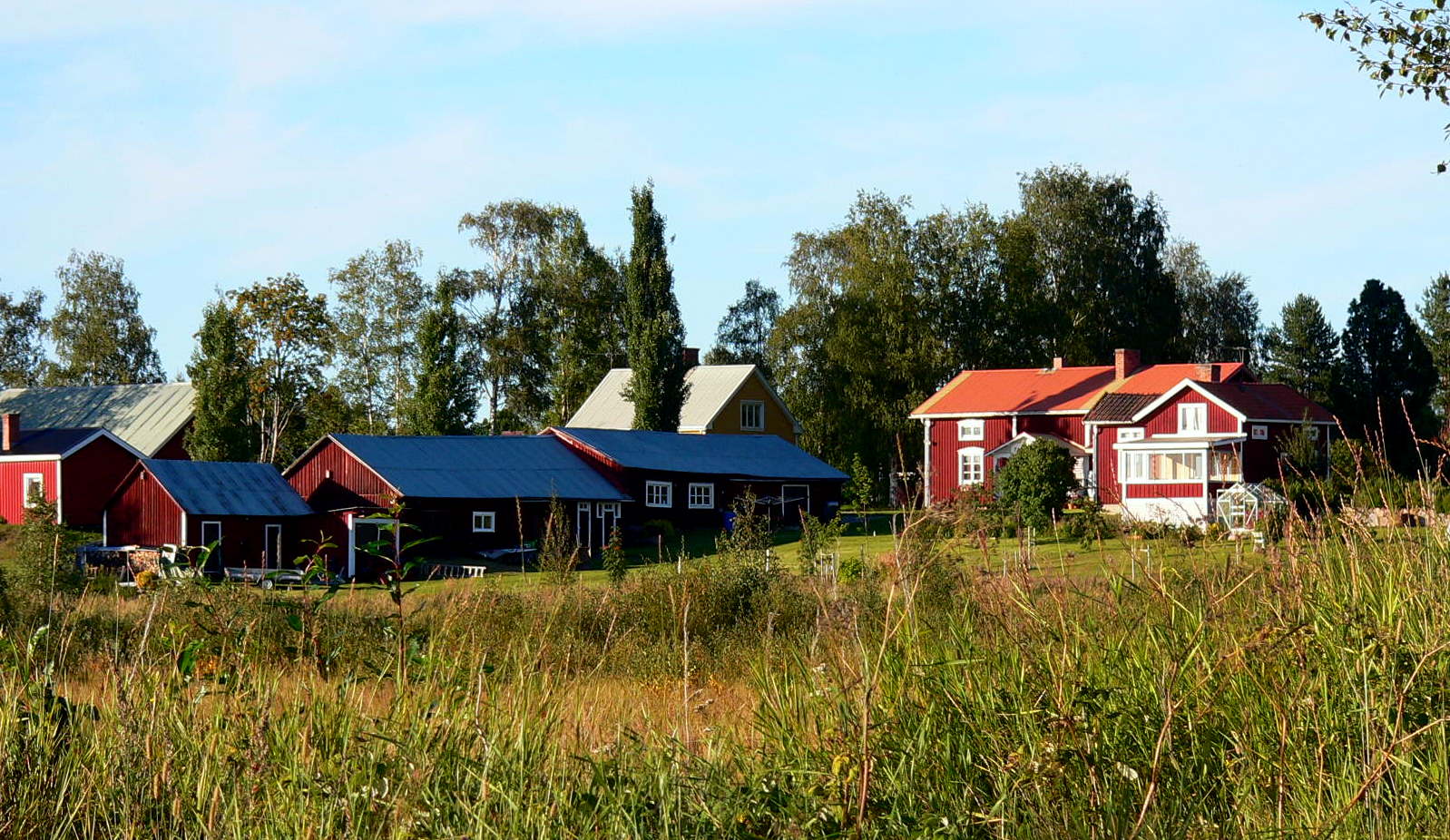 2010-08-18--18.26.34.jpg