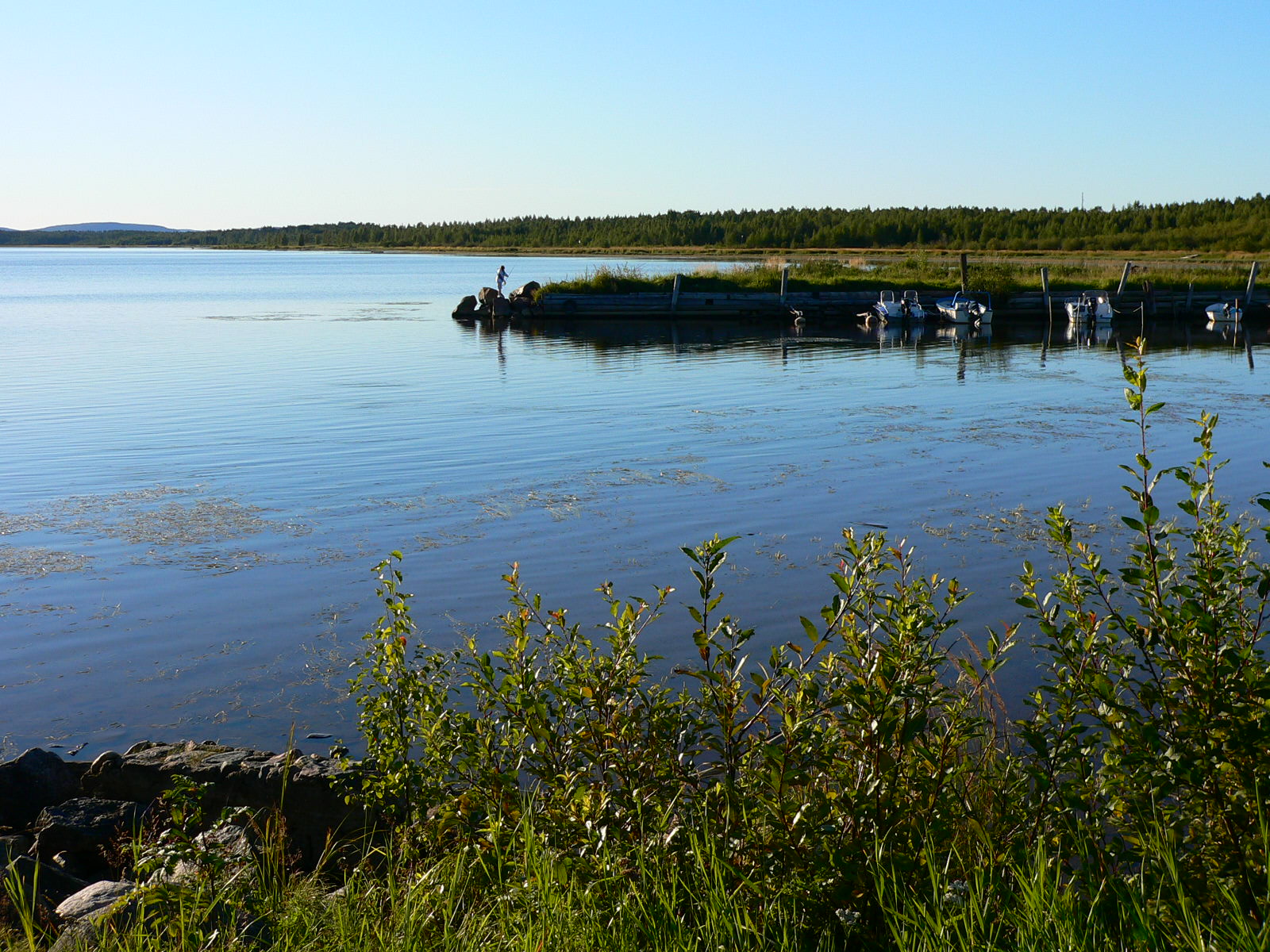 2010-08-18--18.27.53.jpg