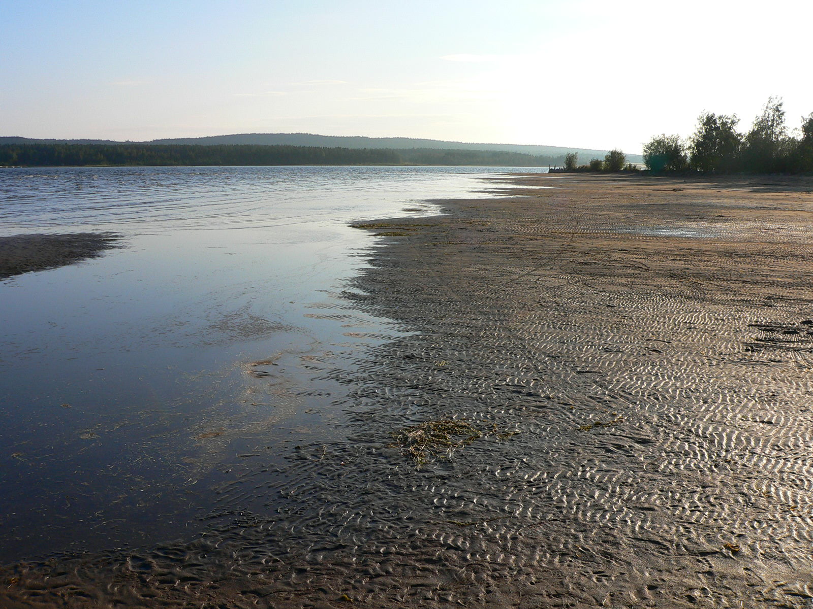 2010-08-20--18.31.49.jpg