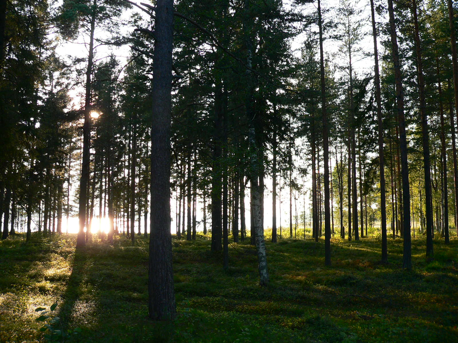2010-08-20--18.38.33.jpg