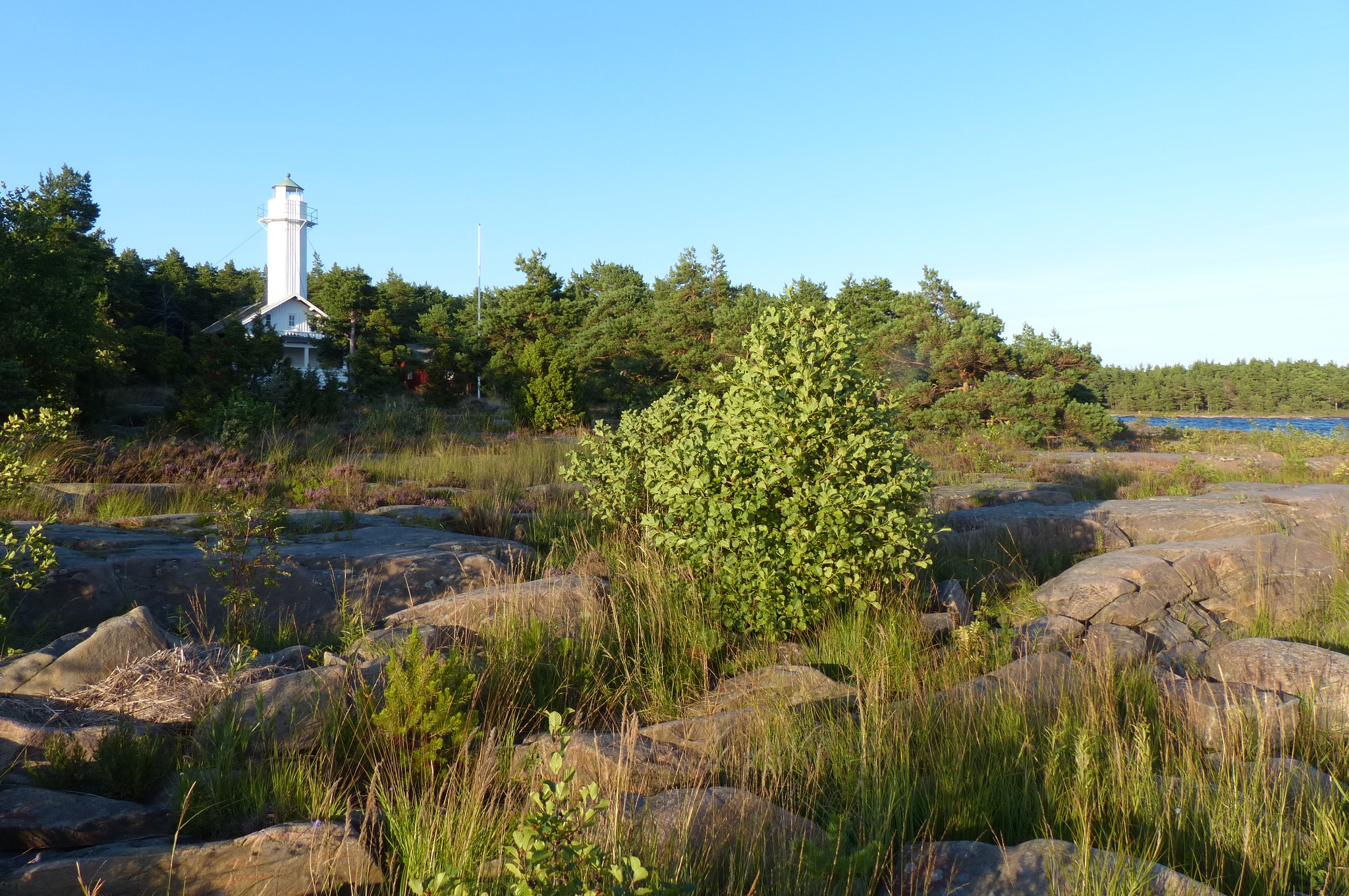 2013-08-19--18.19.41.jpg