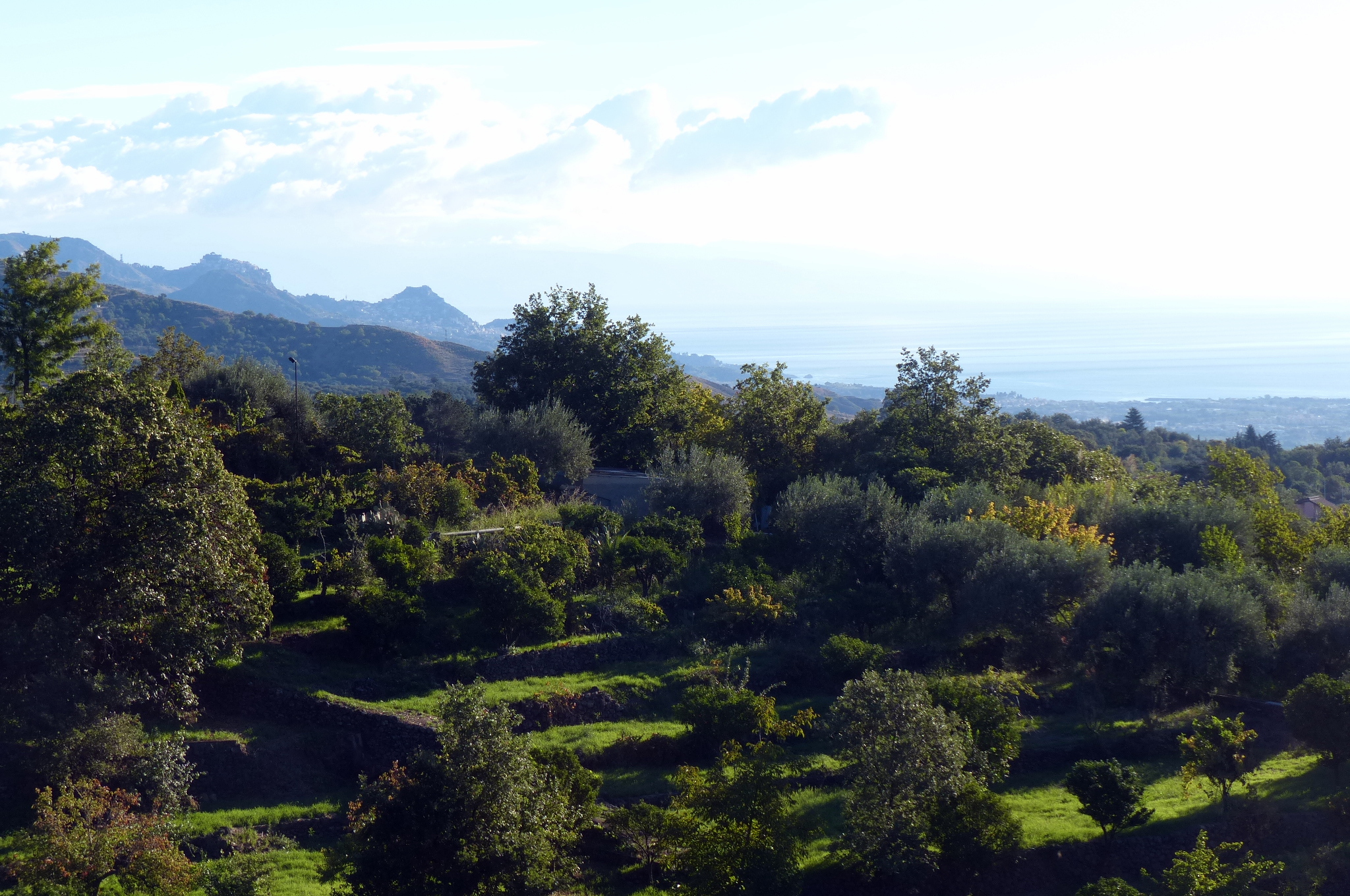 2013-10-02--08.28.21.jpg