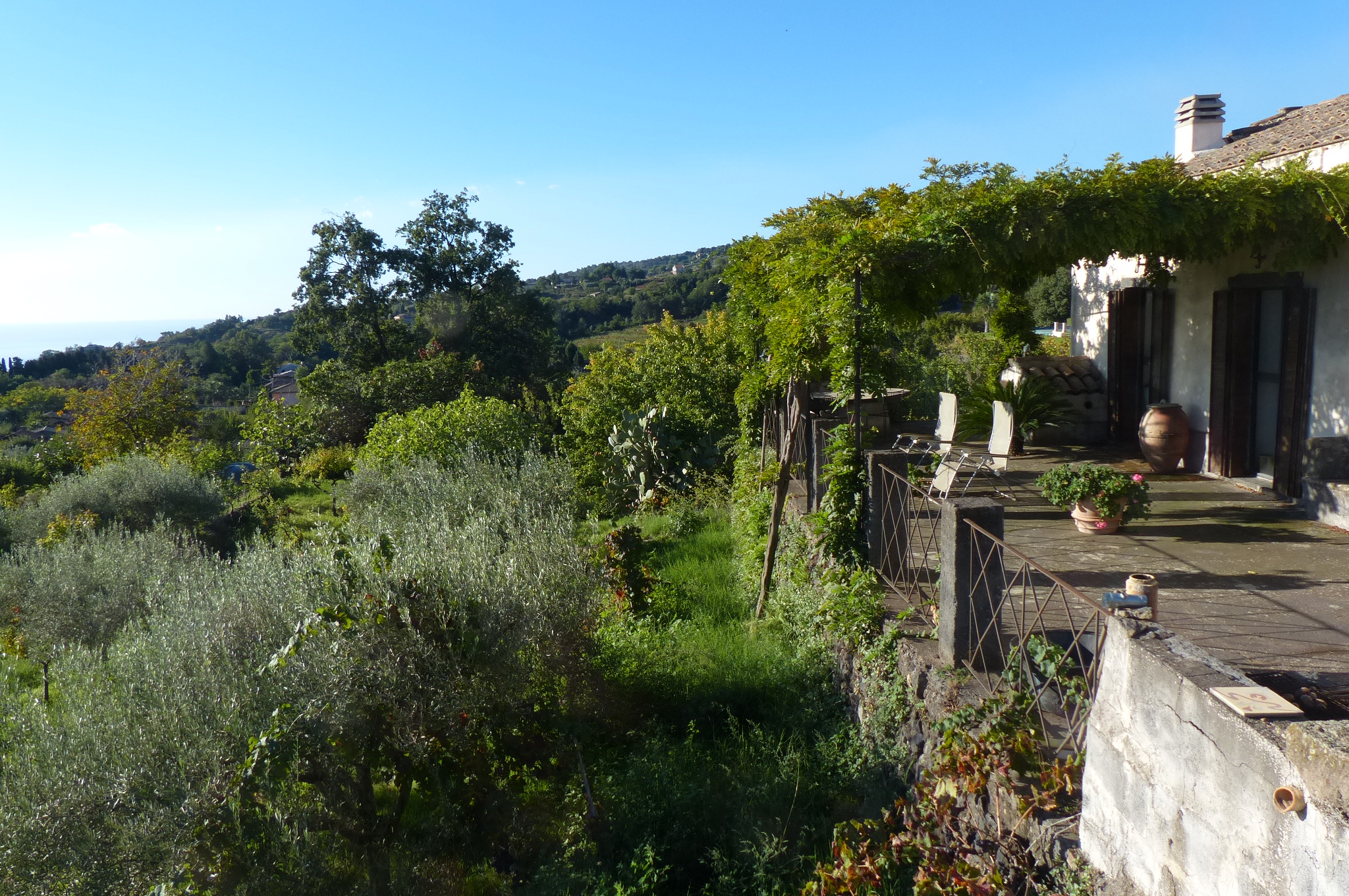 2013-10-02--08.35.12.jpg