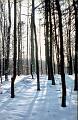1106