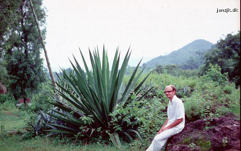 1991