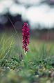 2725