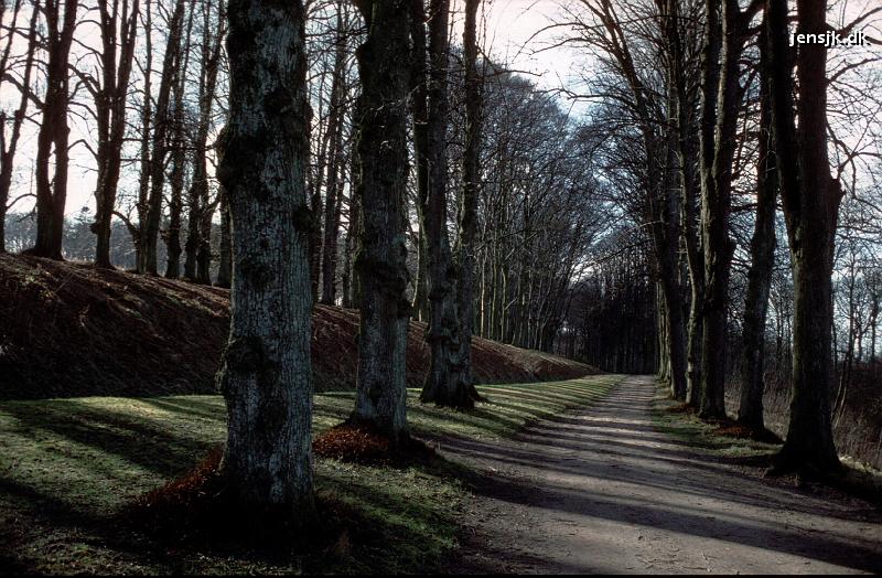2855