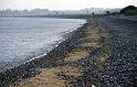5177