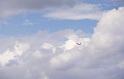 5383