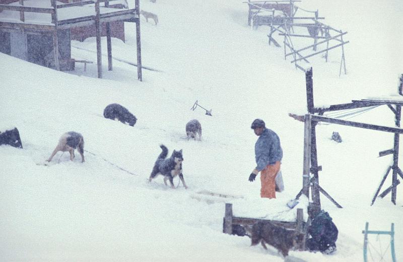 7375