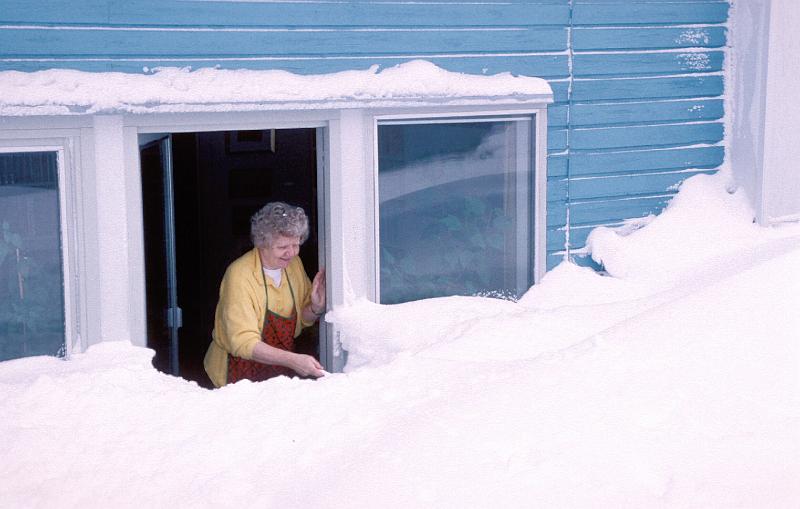 8015