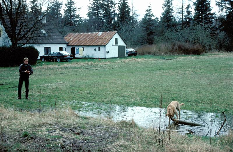 8116